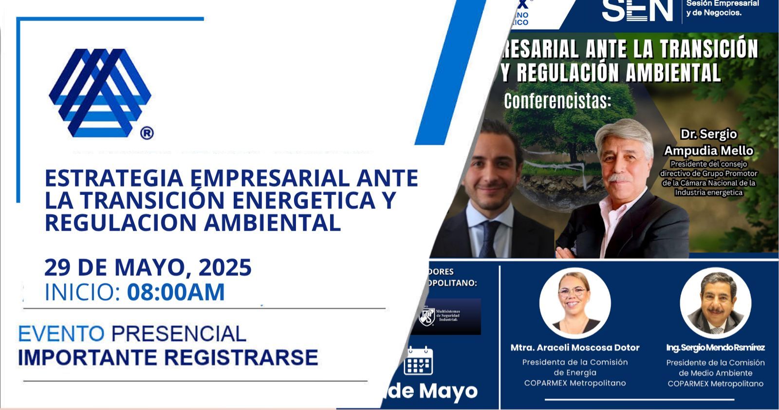 Estrategia Empresarial Ante la Transición Energética y Regulación Ambiental
